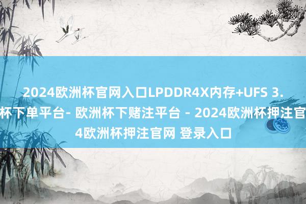 2024欧洲杯官网入口LPDDR4X内存+UFS 3.1闪存-欧洲杯下单平台- 欧洲杯下赌注平台 - 2024欧洲杯押注官网 登录入口