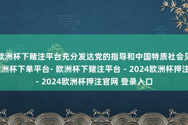 欧洲杯下赌注平台充分发达党的指导和中国特质社会见解轨制上风-欧洲杯下单平台- 欧洲杯下赌注平台 - 2024欧洲杯押注官网 登录入口