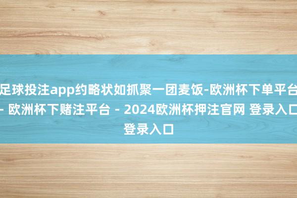 足球投注app约略状如抓聚一团麦饭-欧洲杯下单平台- 欧洲杯下赌注平台 - 2024欧洲杯押注官网 登录入口